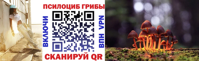 Псилоцибиновые грибы GOLDEN TEACHER  блэк спрут вход  Тайга 